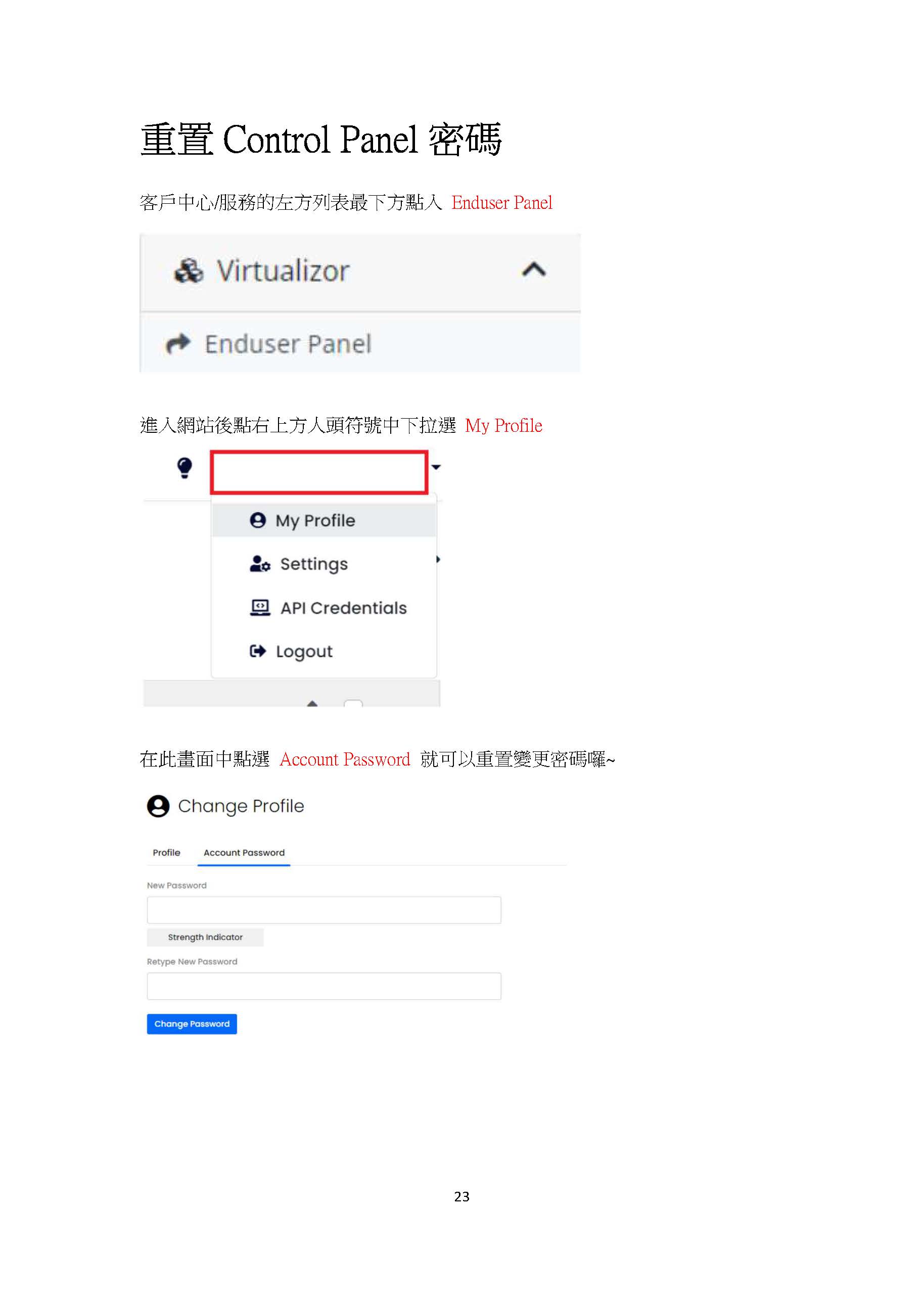 Change Control Panel Password Interface